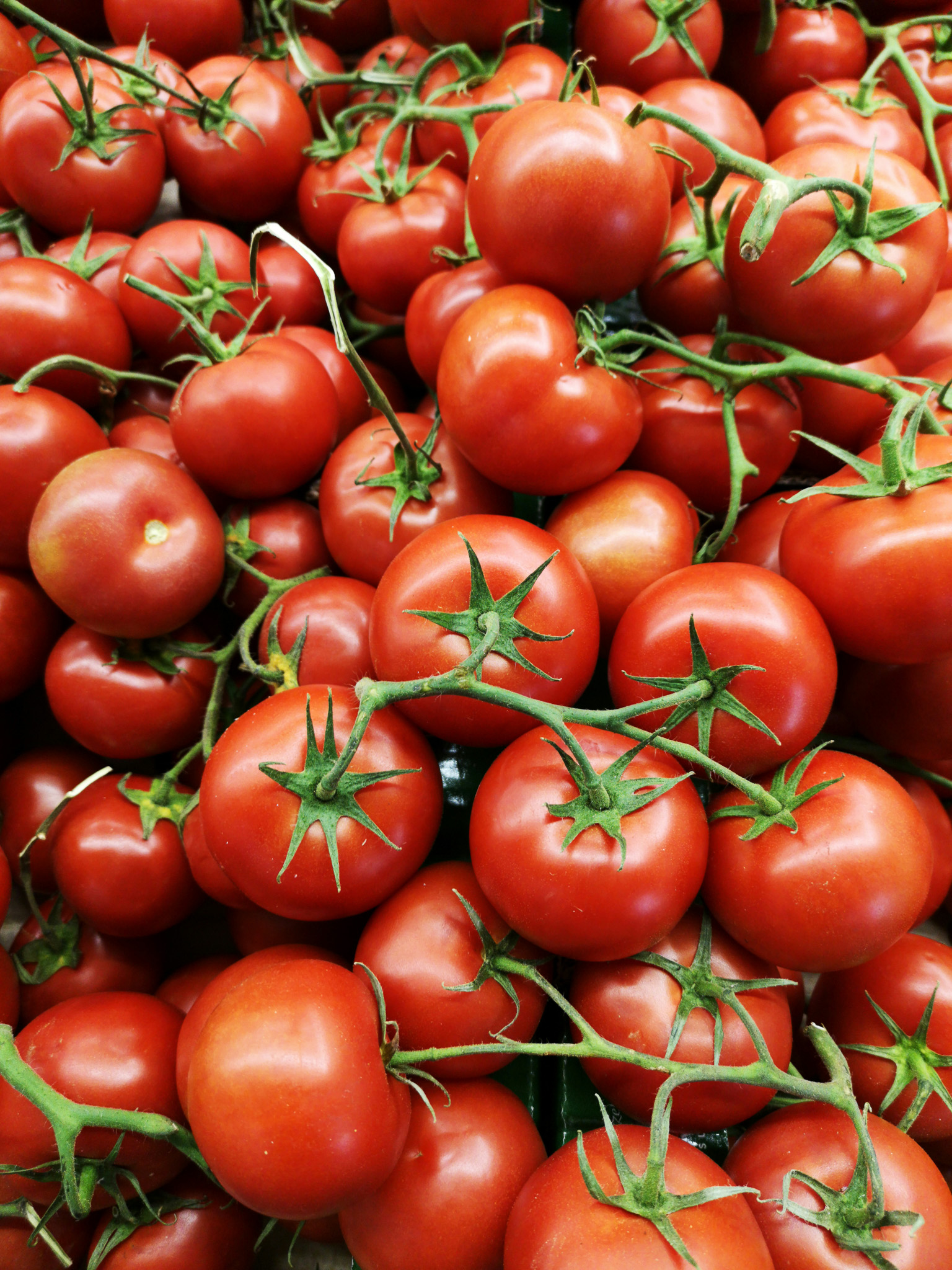 Tomball Farmers Market
