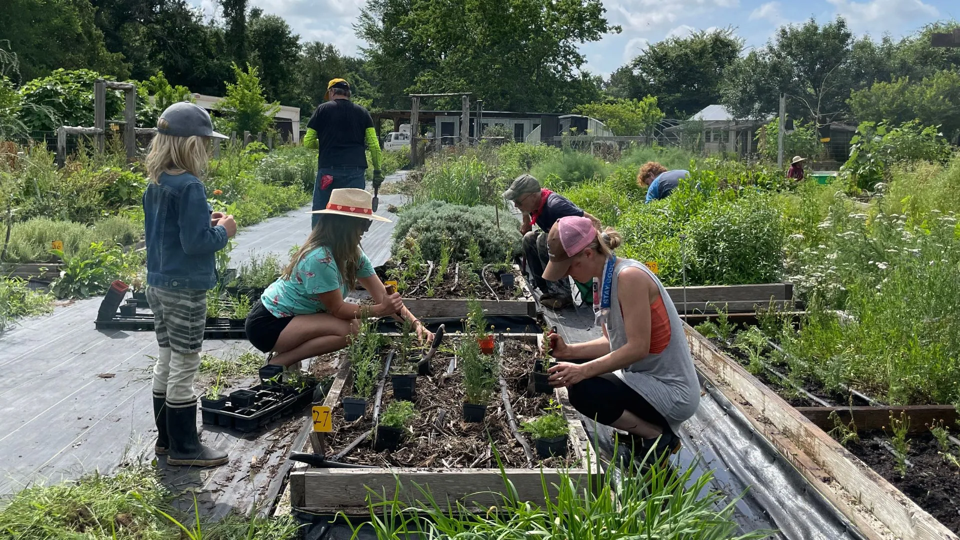 A working planting day on a raised bed: roughly six people spread across the frame