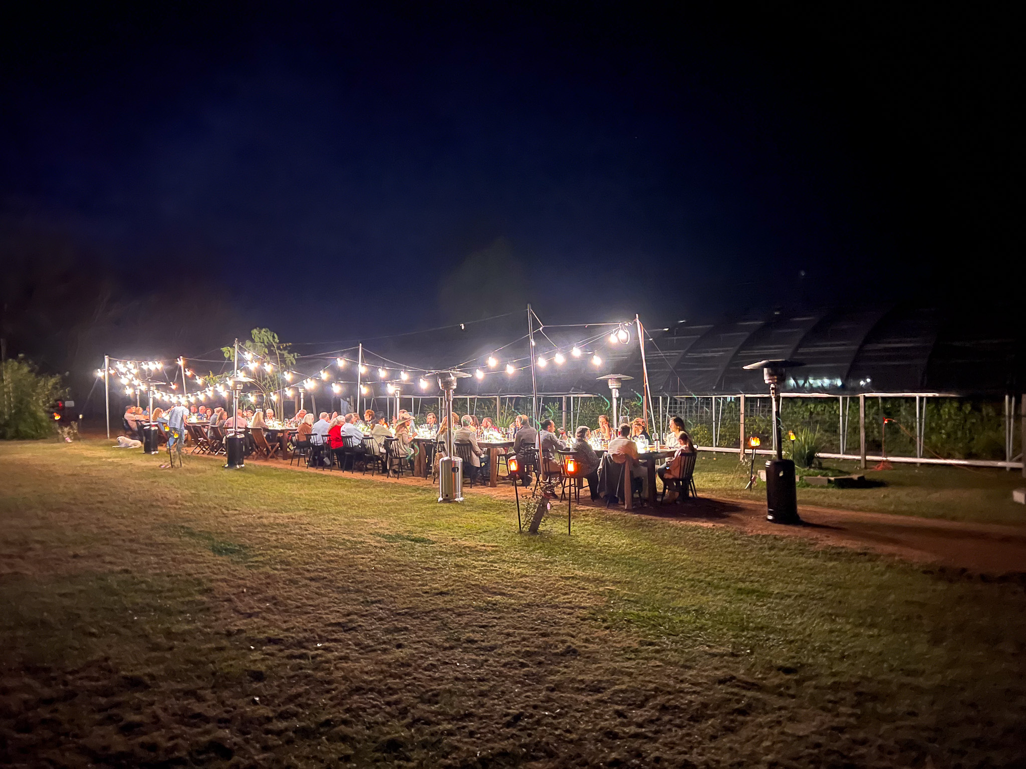 A long-table outdoor dinner after dark