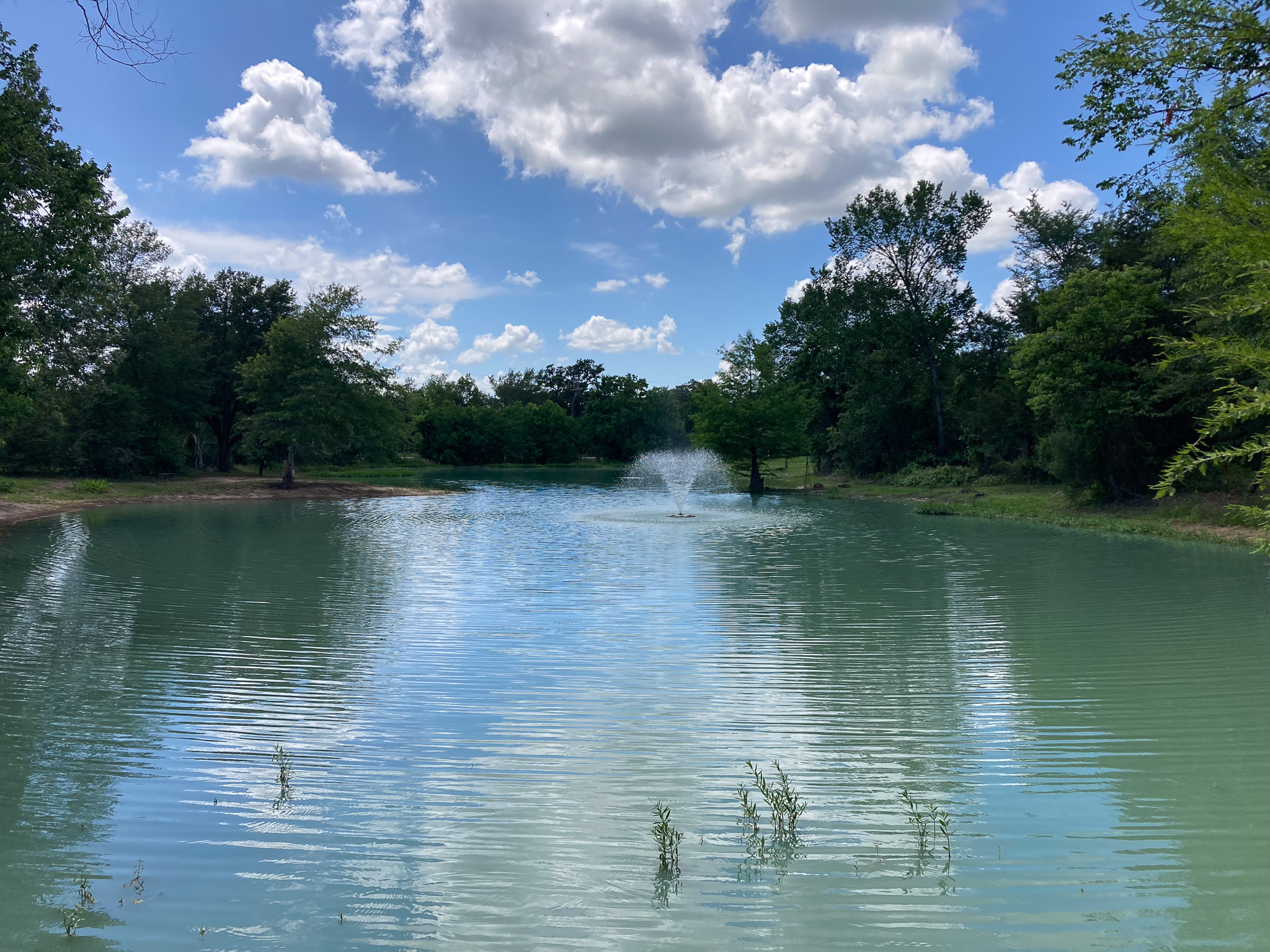 A calm pond with a small aerating fountain throwing a white plume at center