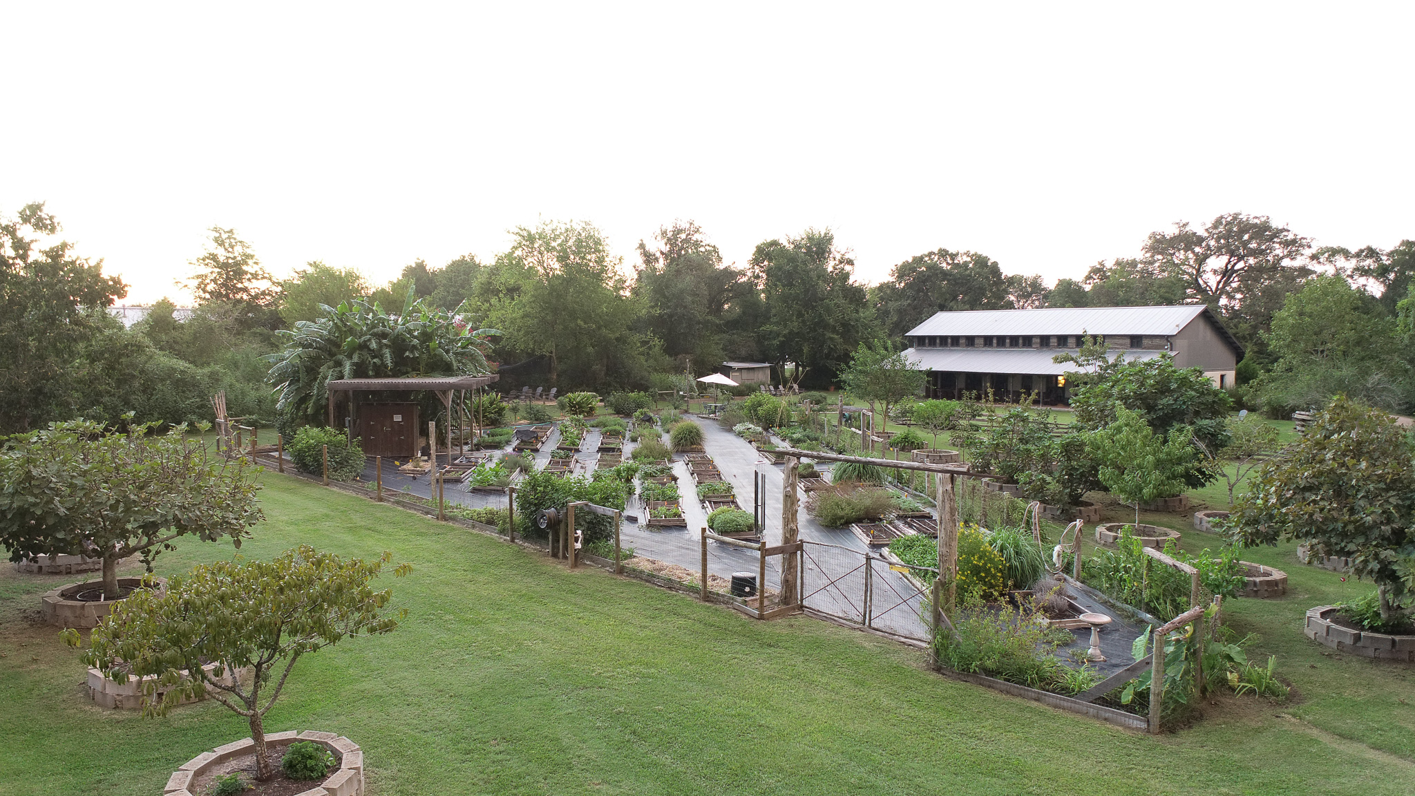 An elevated view over the kitchen garden