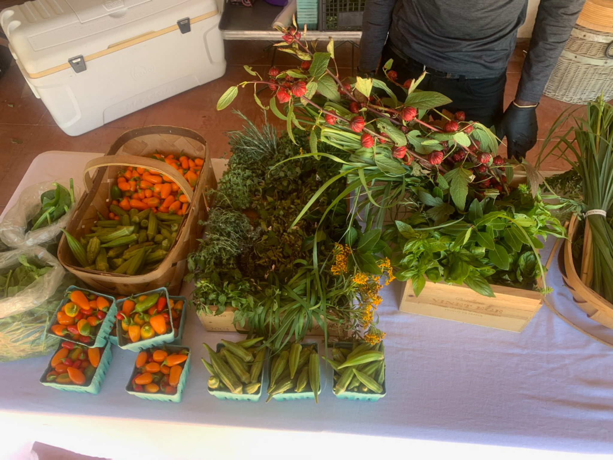 A market table laid out with produce: split-basket of small orange peppers and okra, several pint baskets of peppers and okra along the front,