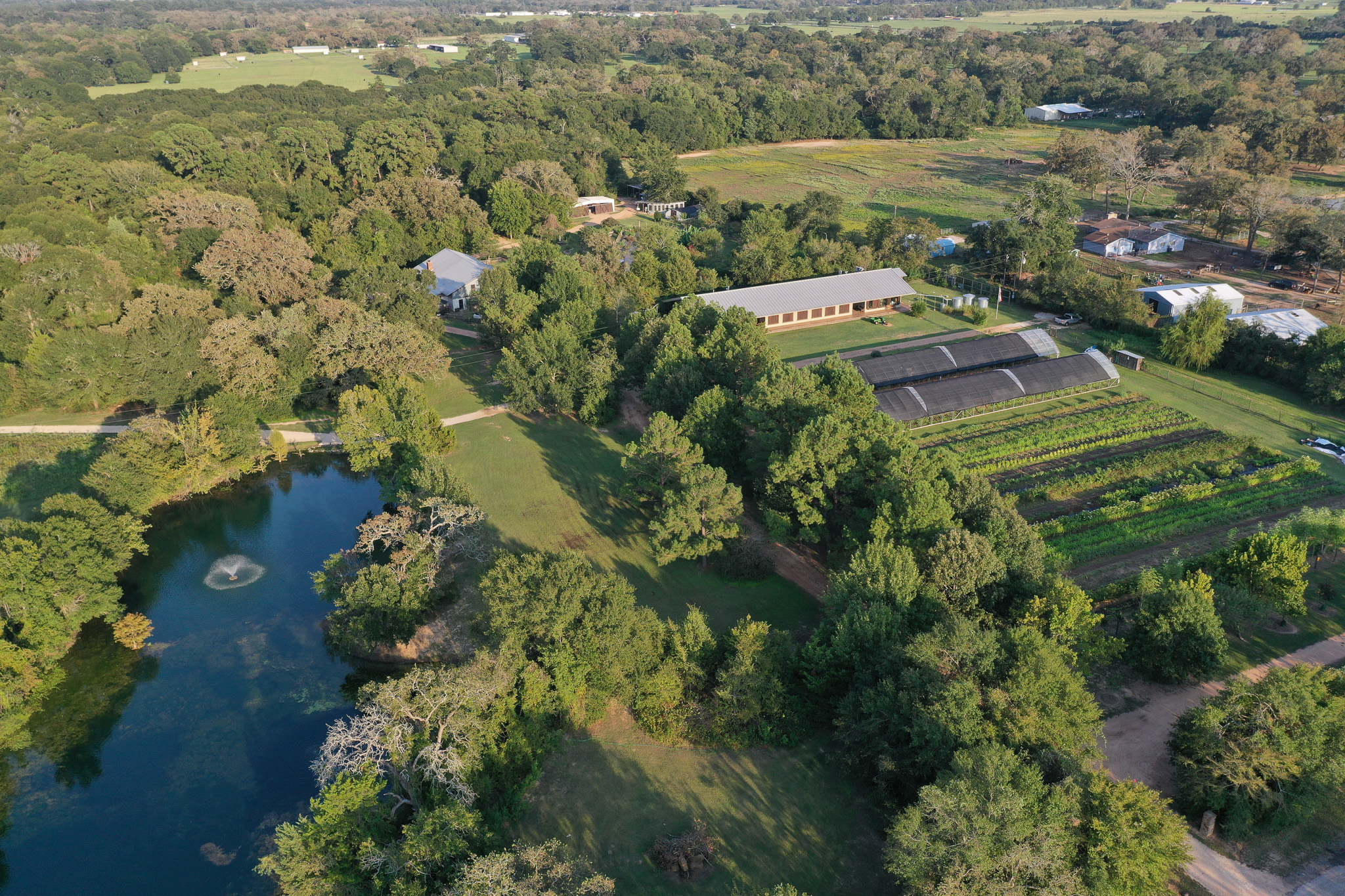 Aerial view of the Blackwood Landfarm: a pond, oak woodland, and rows of growing fields