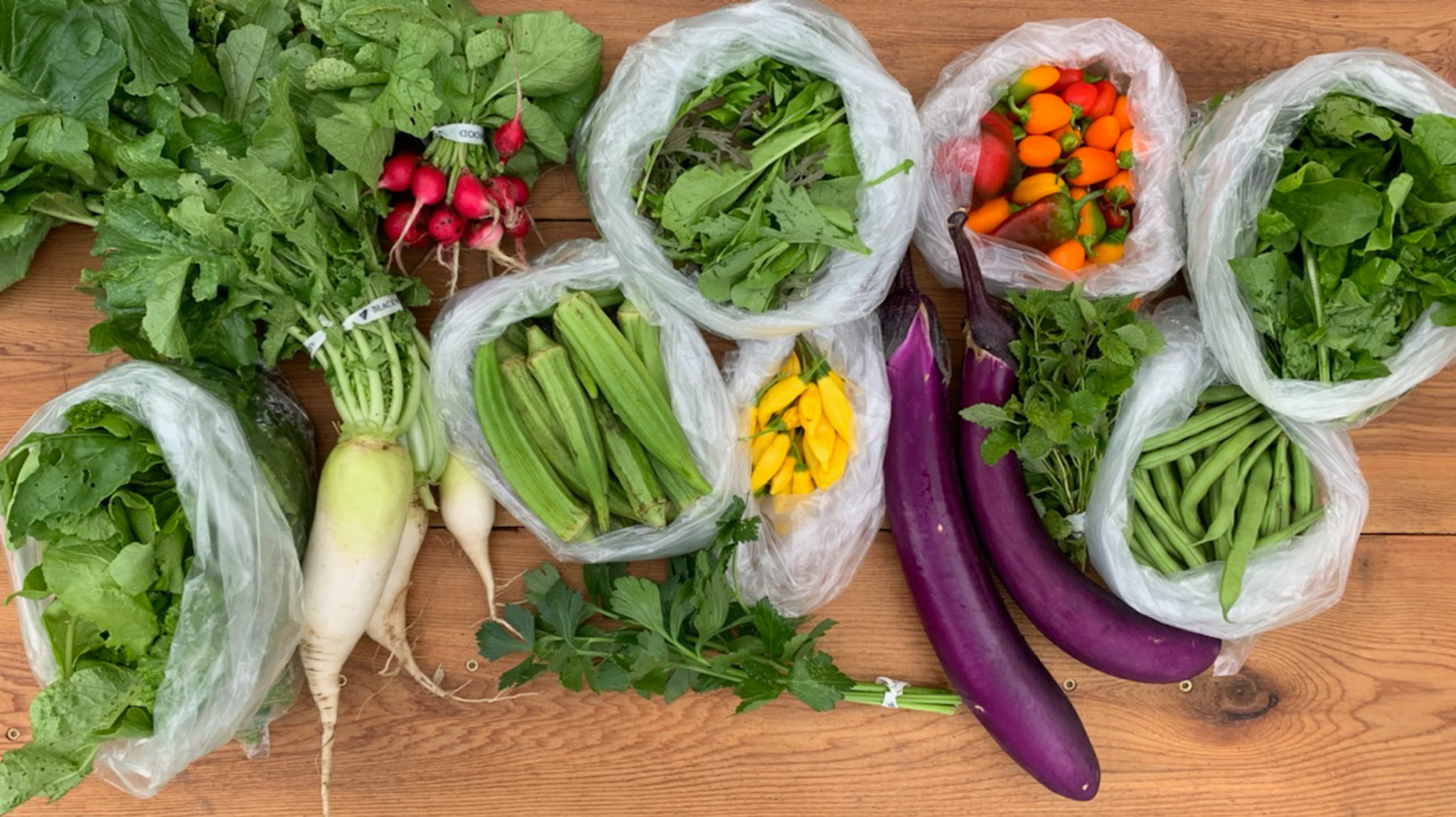 Overhead flat-lay of a harvest or CSA share spread across a light wood table: bagged salad greens, a bunch of red radishes with tops, two large