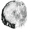 Undr-symbol — tre-tverrsnitt og fingeravtrykk