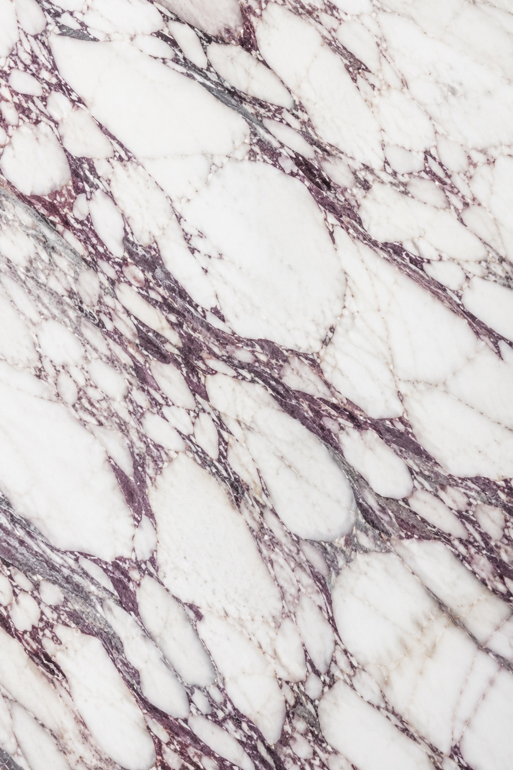 Calacatta Viola marmor til veggflis