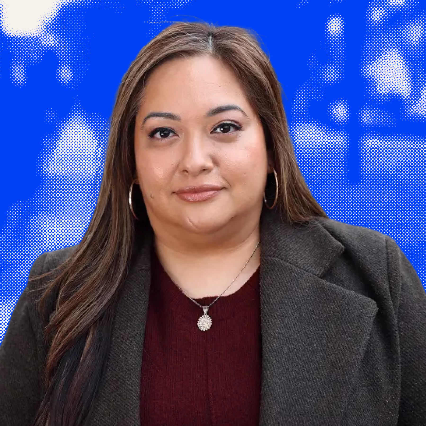 Patty Garcia, Democrat candidate for Illinois's 4th congressional District