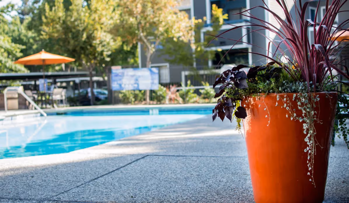Pool with seating