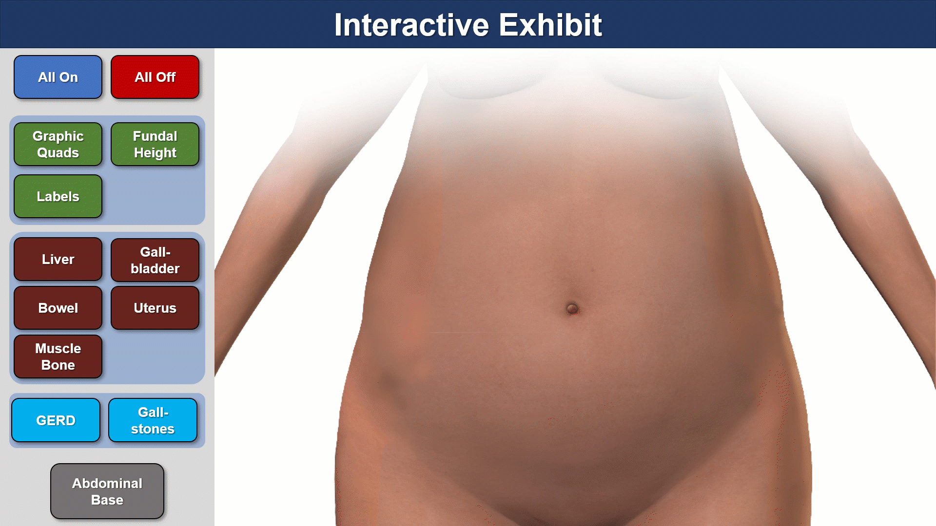Medical Interactive Layers