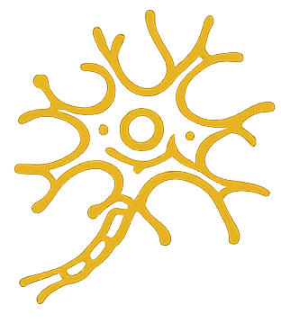 Yellow stylized neuron illustration with branching dendrites and axon.