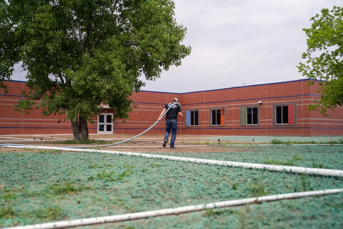 Hydroseeding results next to commercial building in North Texas