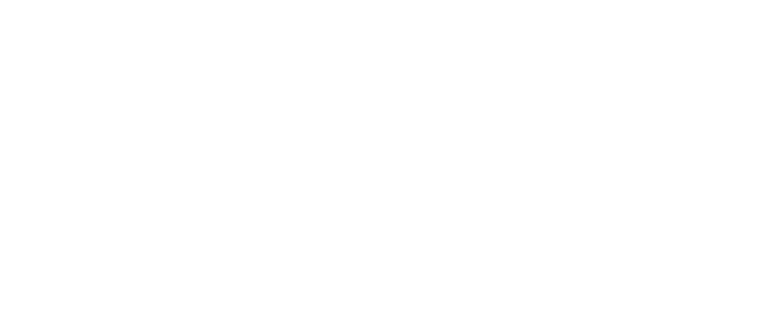 purness karin betschart logo light