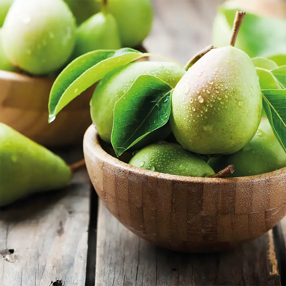 Ihr Frischmarkt Frische