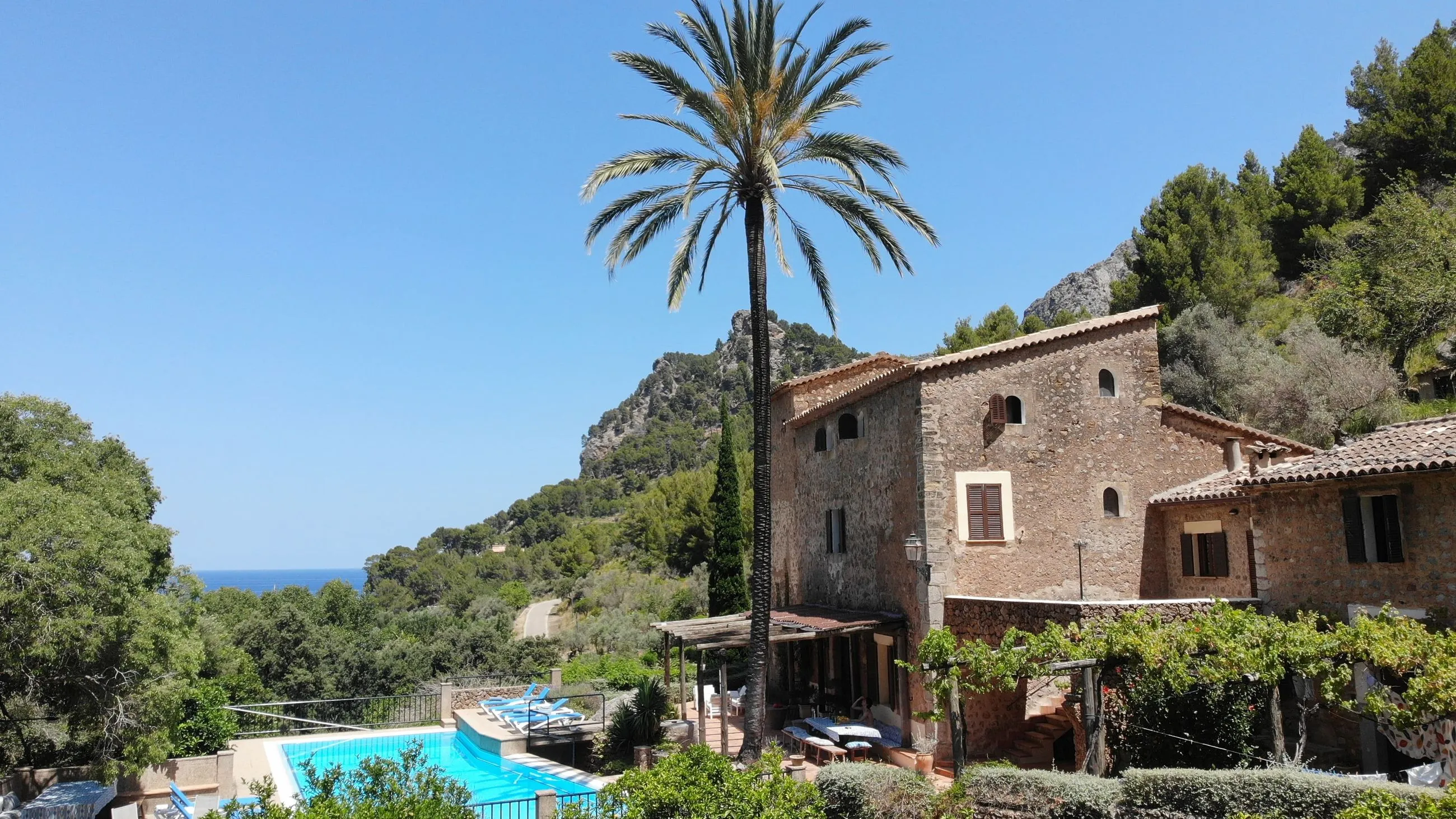 Finca Higo’s stone house with palm tree and pool, surrounded by green hills and mountain peaks in Mallorca.