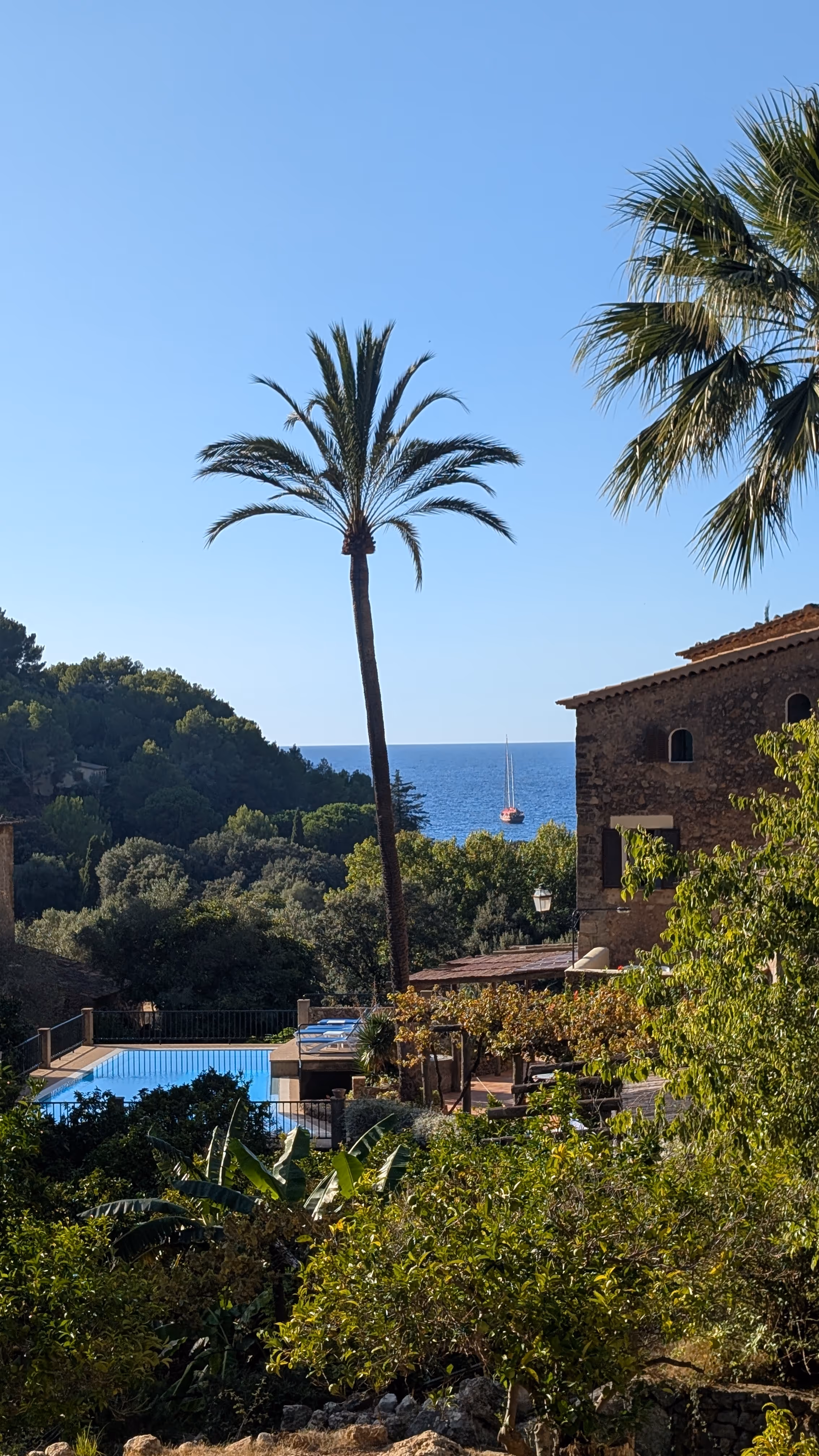 View from Finca Higo overlooking palm trees, historic stone buildings, and the sea near Cala Tuent.