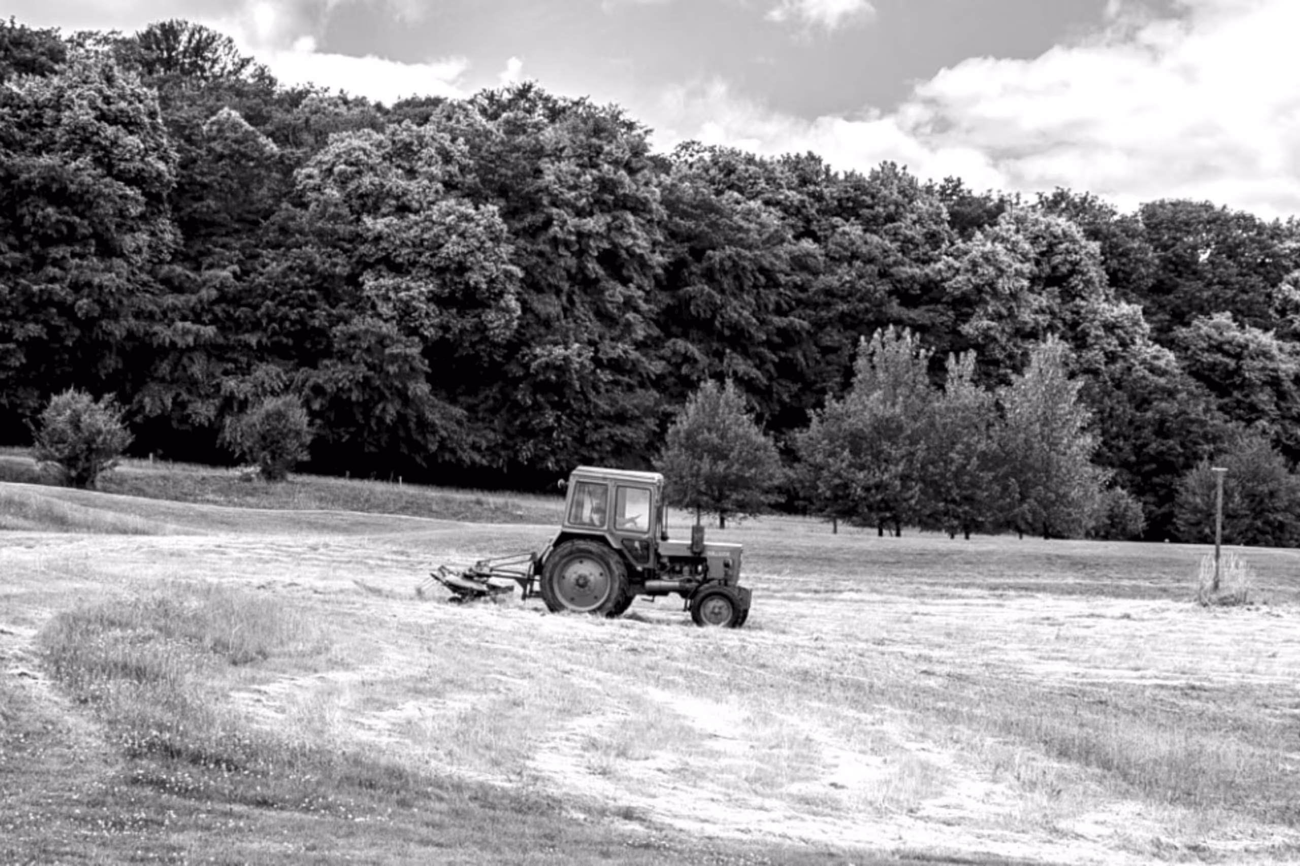 Enhancing a visual crop detection model for an agricultural firm