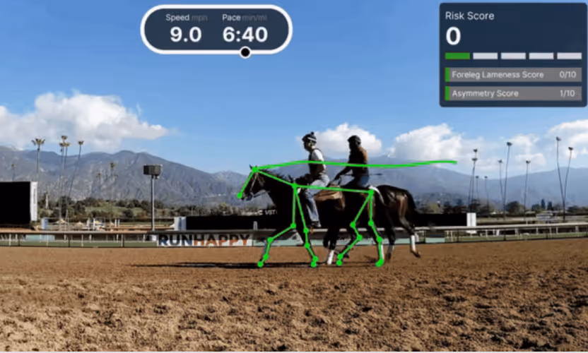 Leveraging computer vision to identify animals at risk of injury