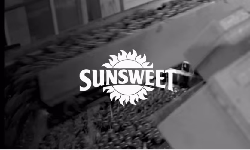 Automating food inspection using deep learning for Sunsweet Growers