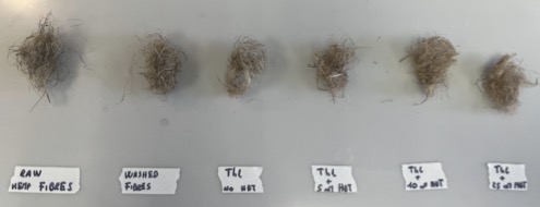 image of topiary art in a garden (for a landscaping service)