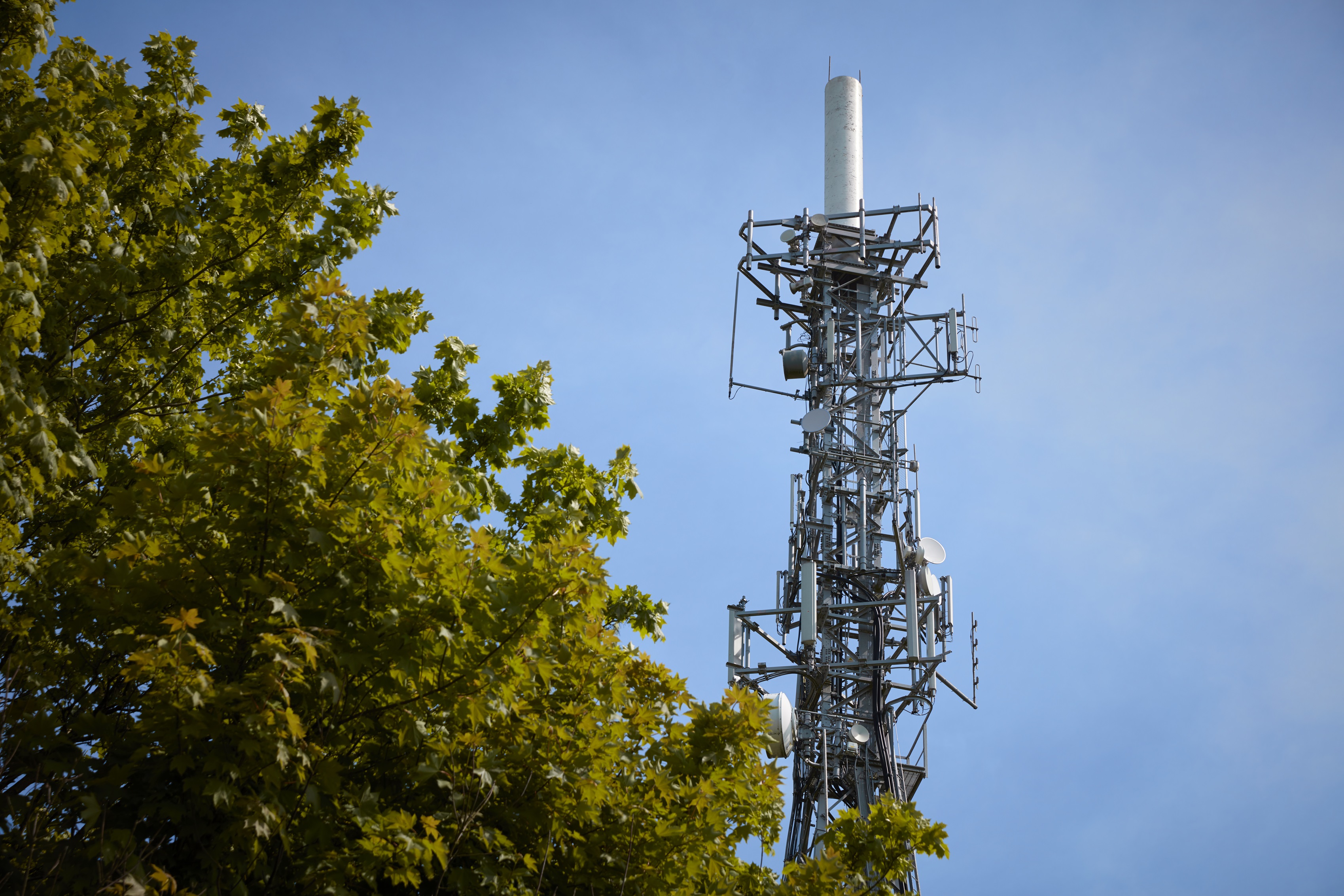 Tall metal telecommunications tower with various antennas and dishes beside leafy green tree branches under a clear blue sky.