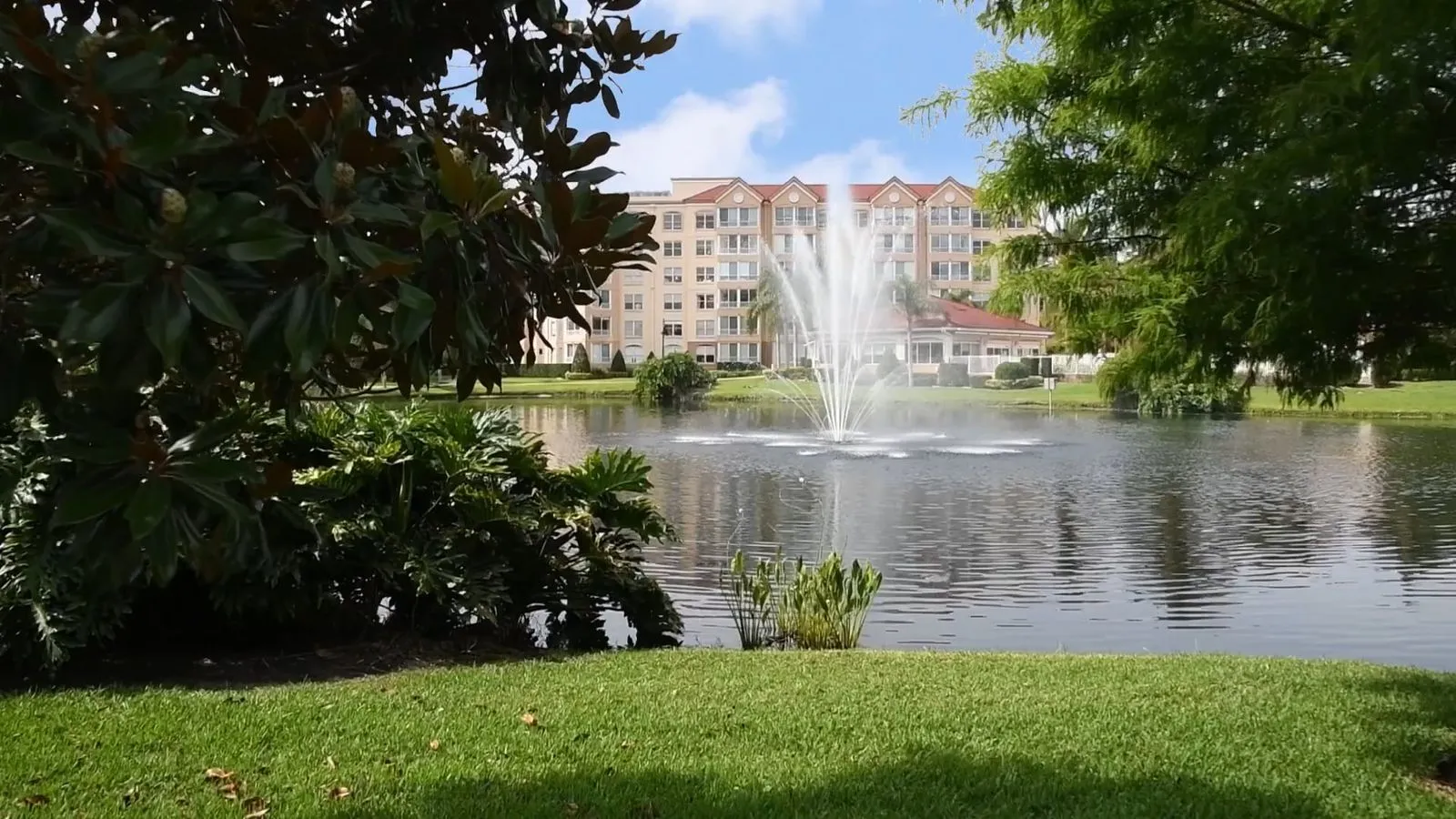 Bristol Pointe