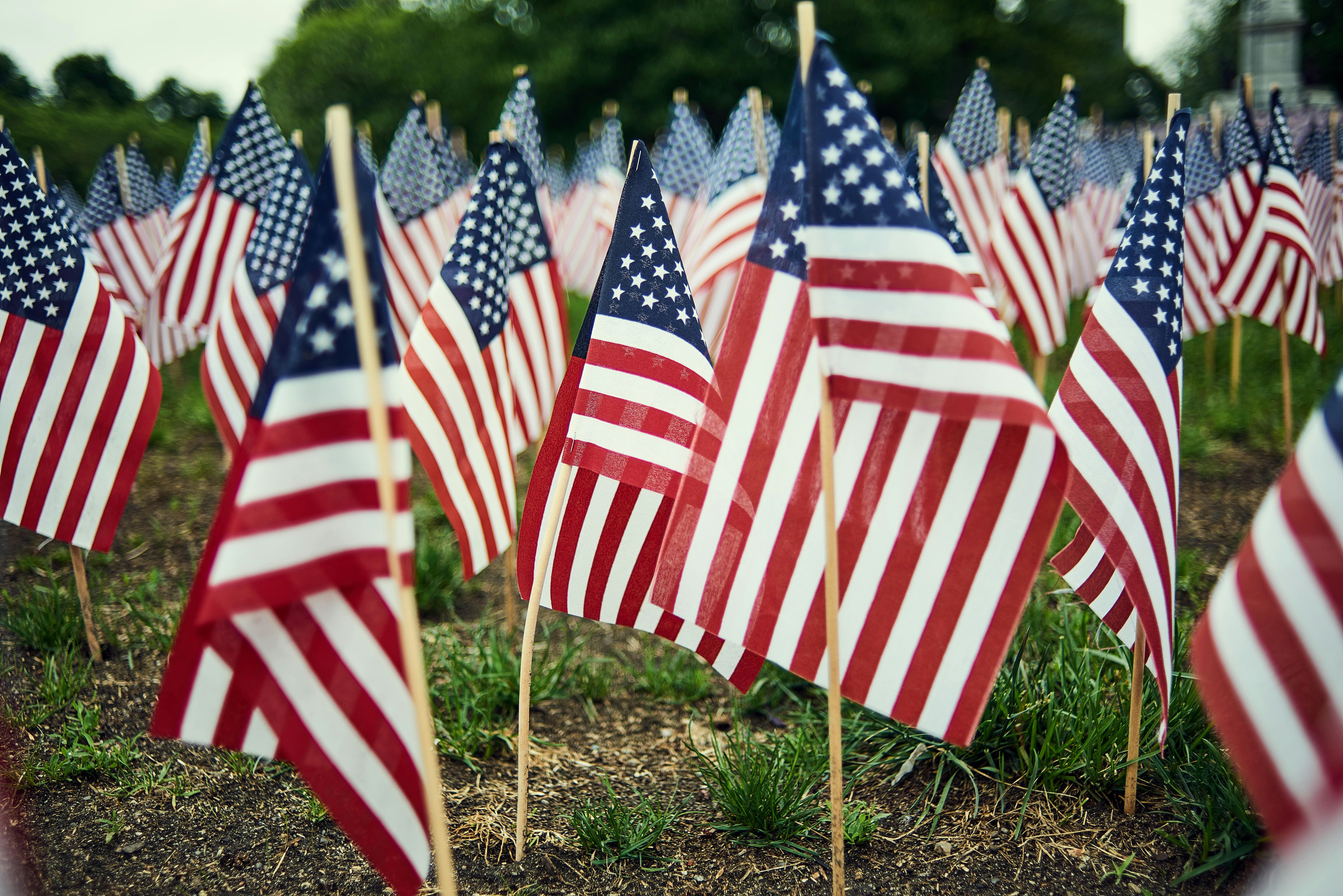 Honoring Senior Veterans in Our Community