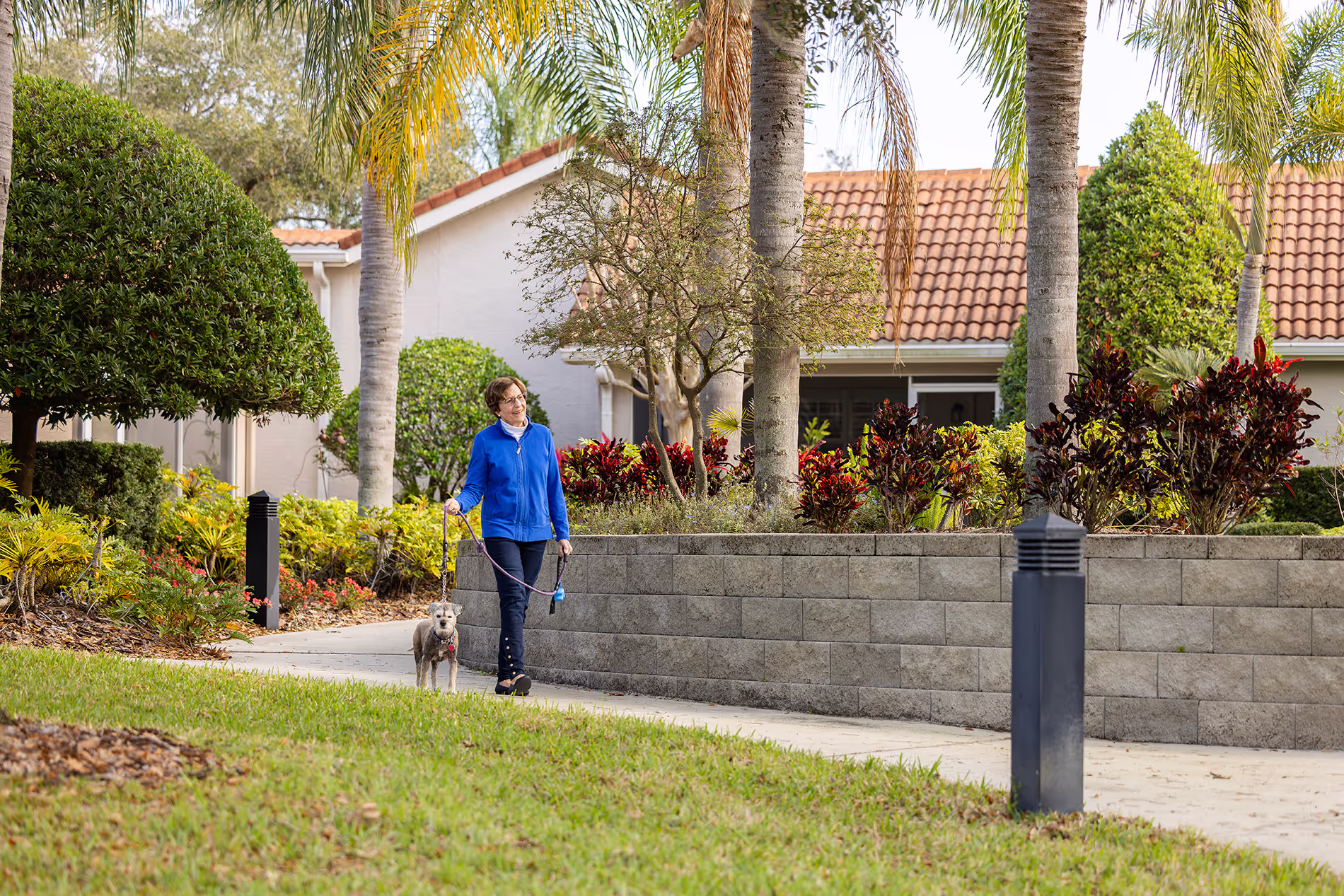 Older woman walking her dog through a peaceful villa neighborhood, enjoying a leisurely stroll along tree-lined streets.