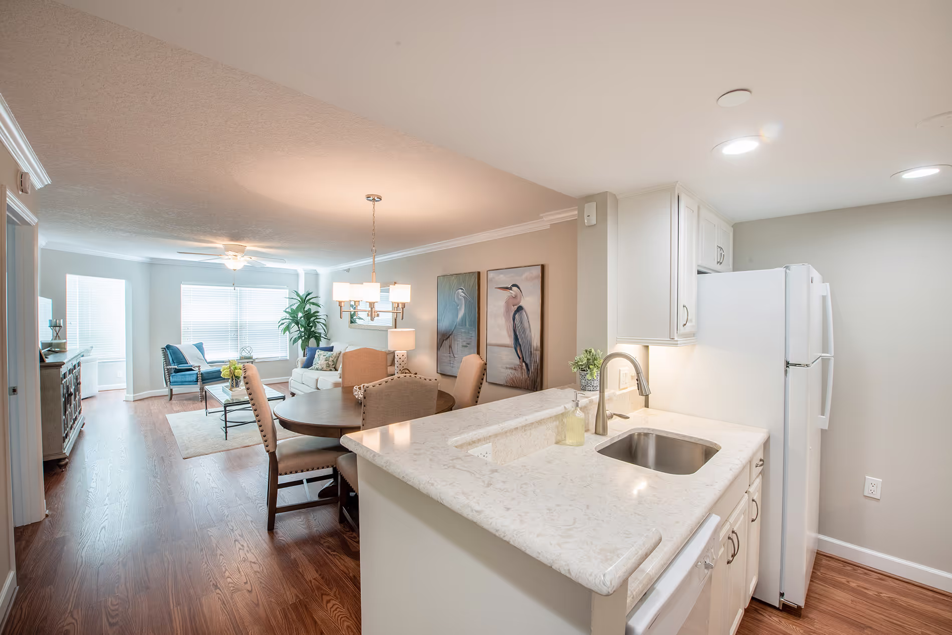 Living room and kitchen area in a campus residence, featuring cozy furnishings, modern design, and decorative bird paintings adding a touch of charm.