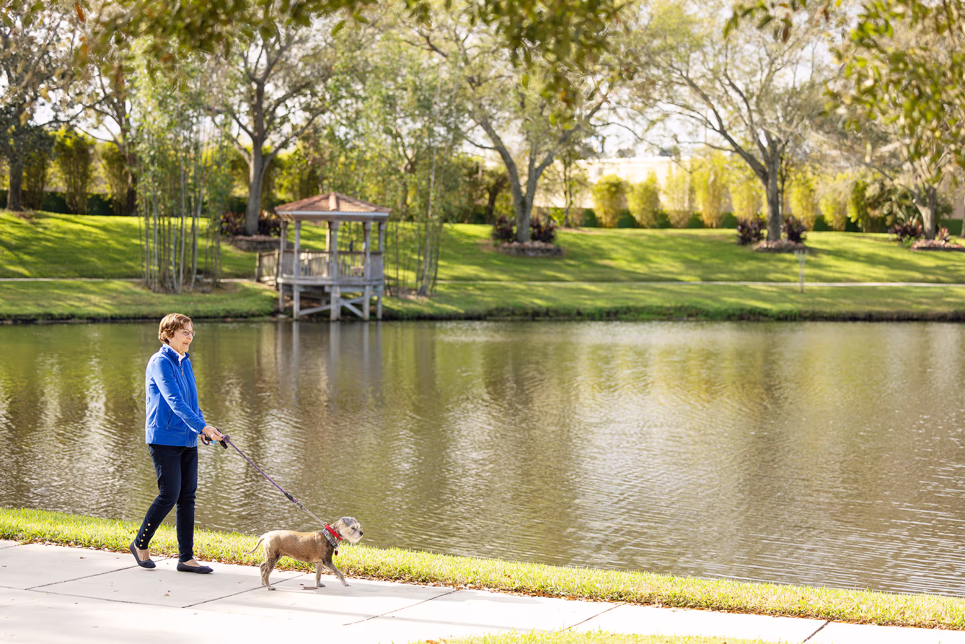 Older woman enjoying a quiet moment by the lake with her dog, both gazing out at the serene water and natural surroundings.