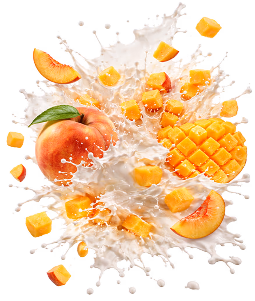 Japanese ice cream exploded view