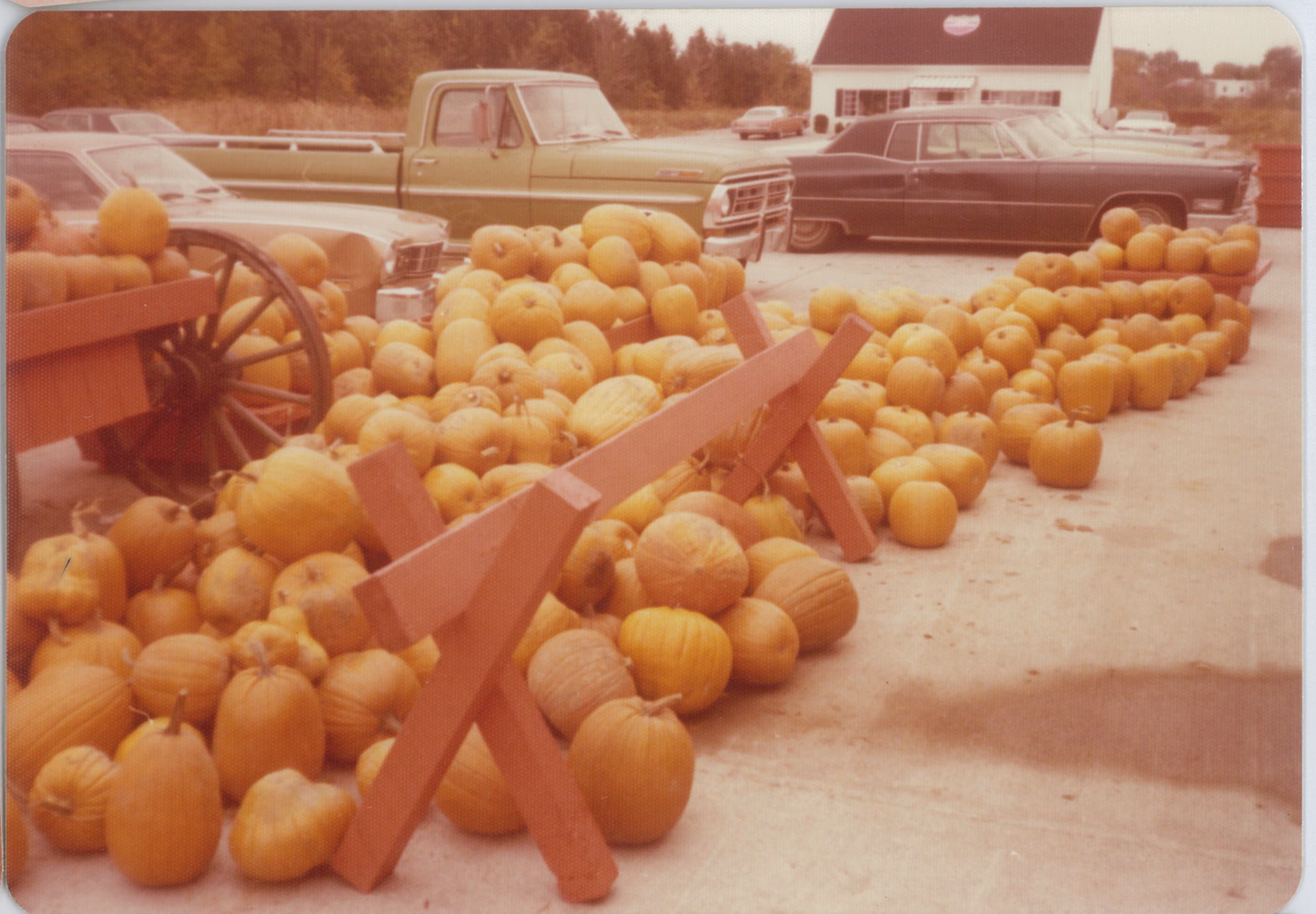Jungle Jim's produce stand