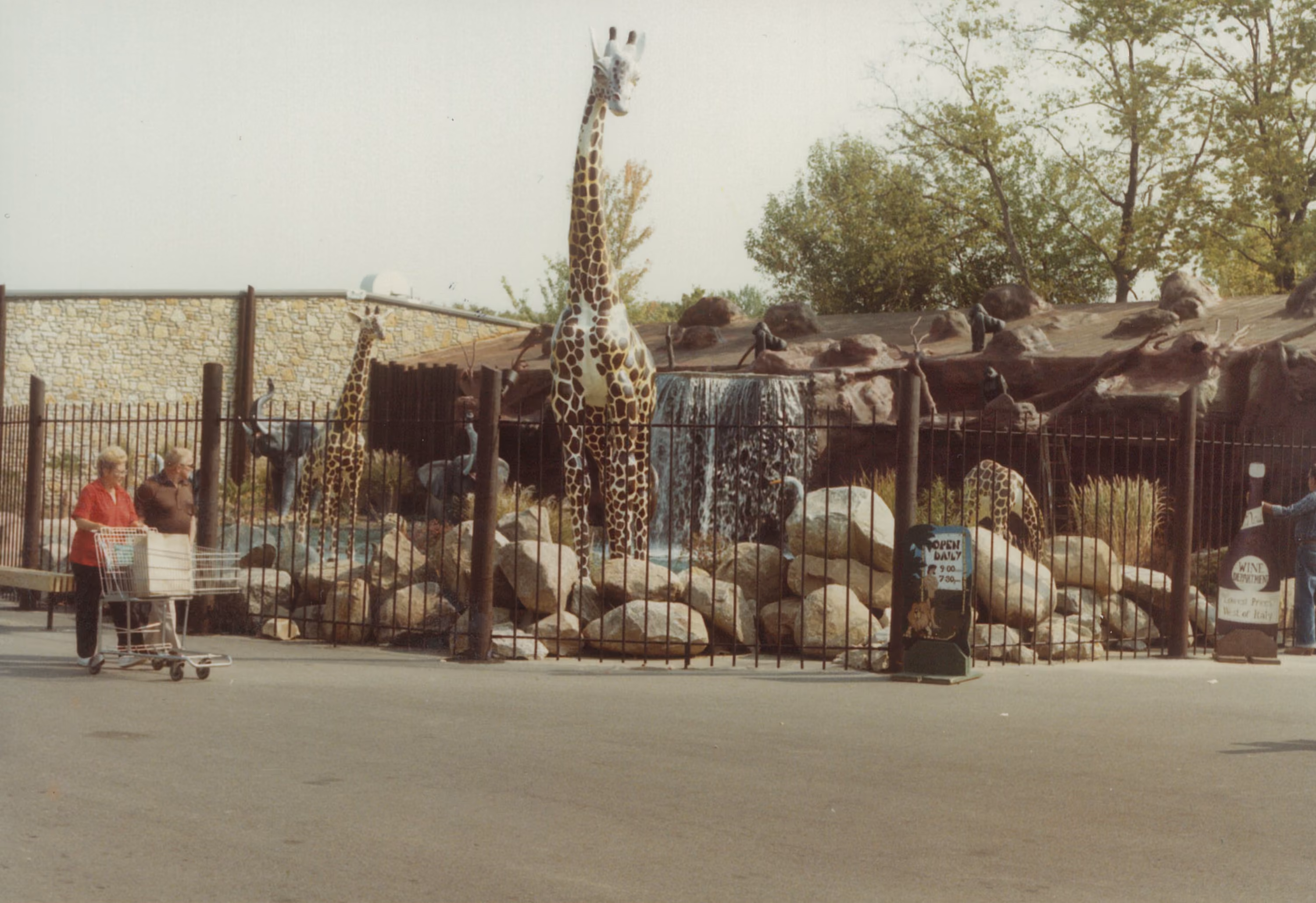 1983, the animal pond