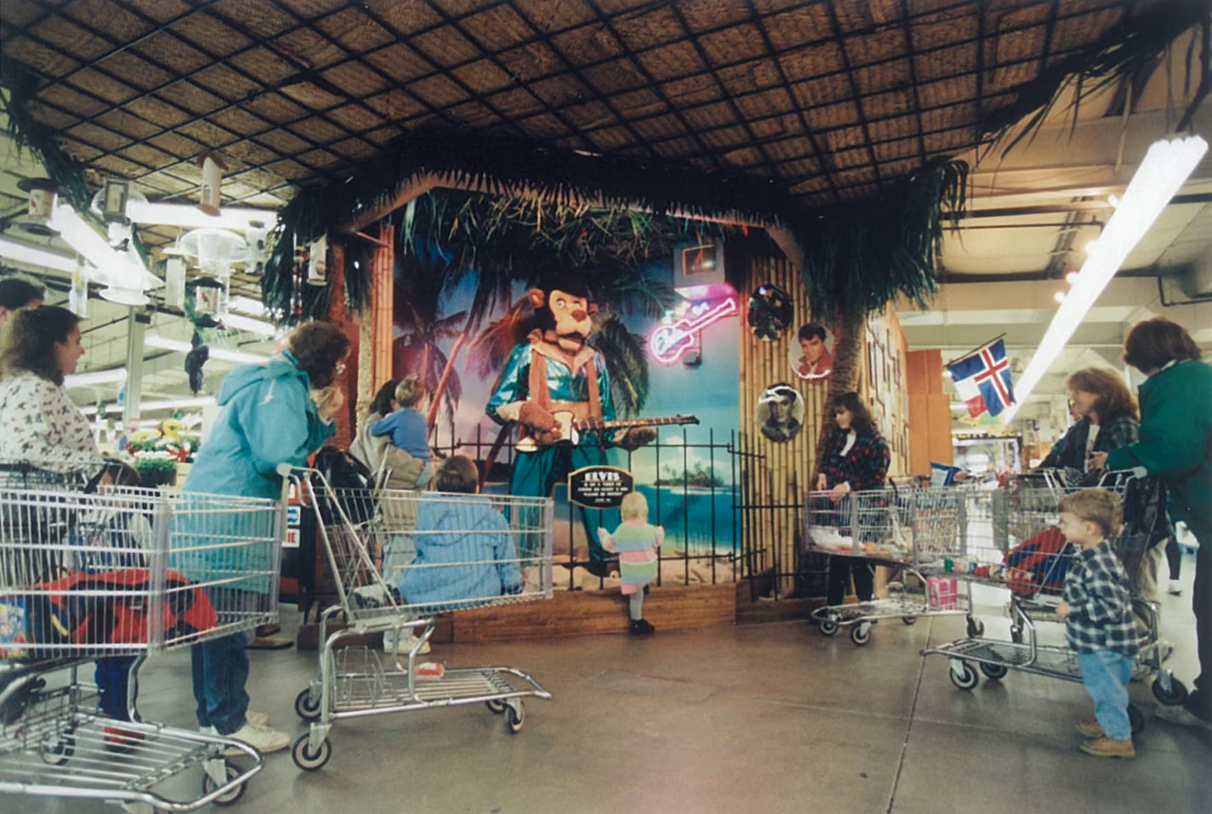 Welcome to the Jungle