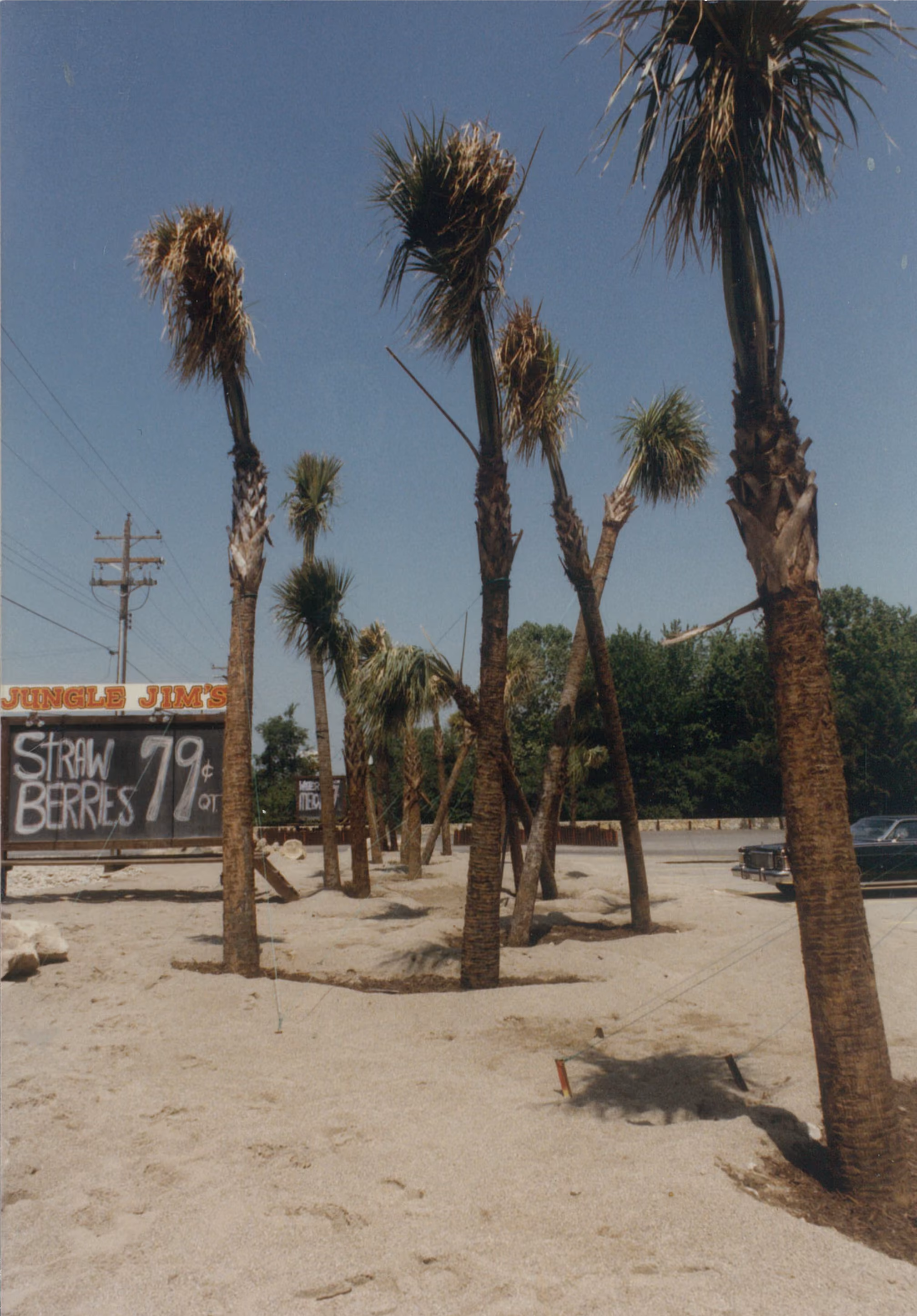 Jungle Jim’s in the mid 1980s