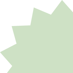 Light green abstract star shape with irregular points on a white background.