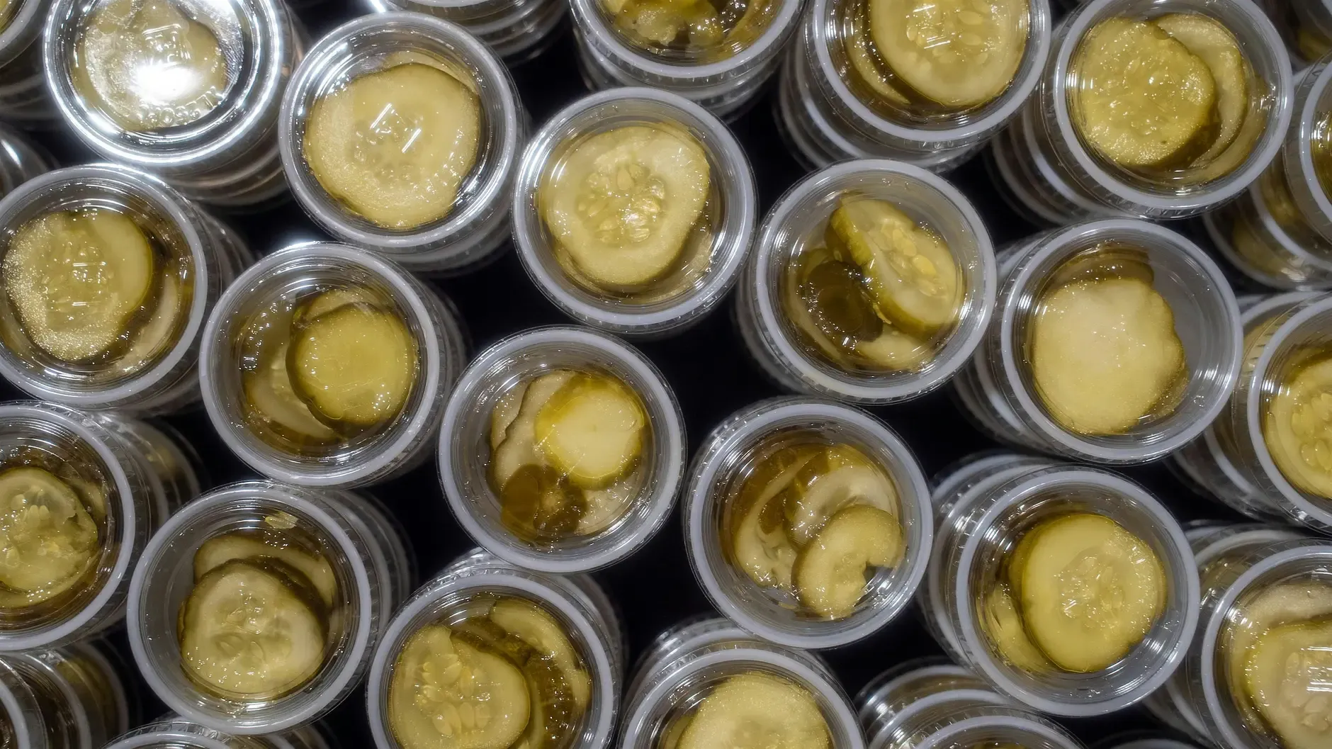 Rows of pickle samples served in small cups