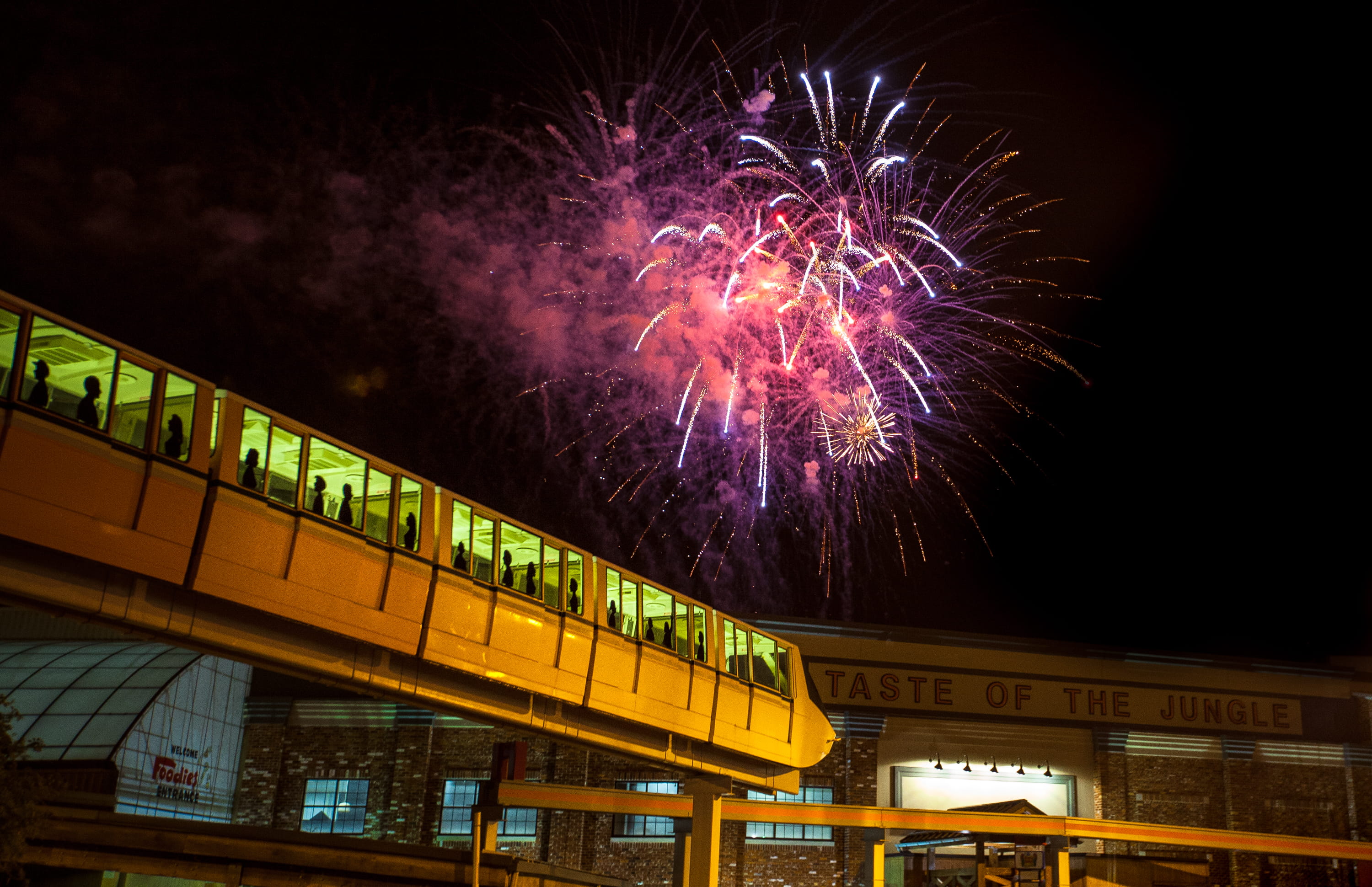 Fireworks over Jungle Jim's