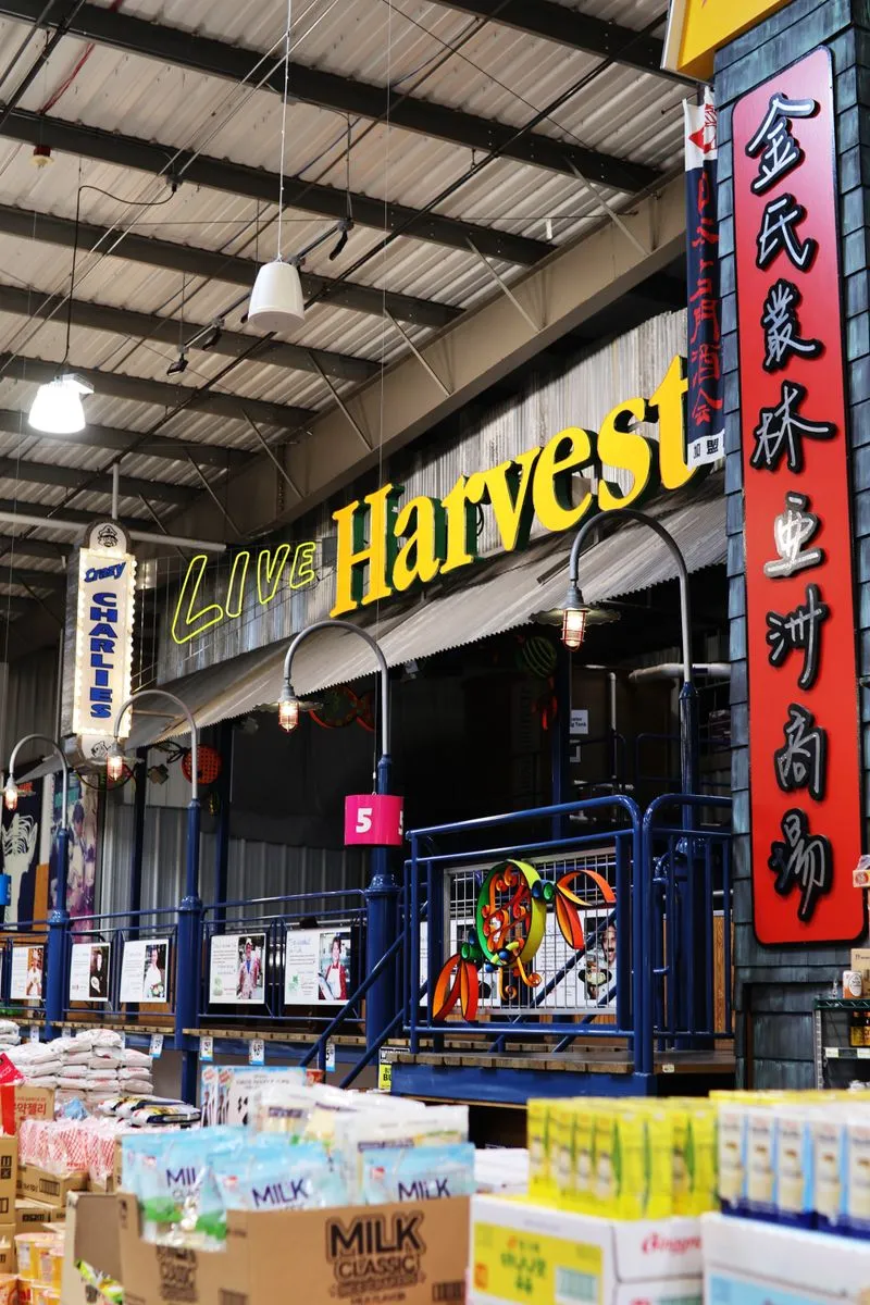 Live Harvest Portrait