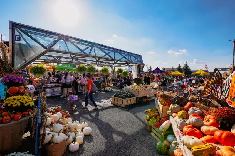 Fall Kick Off at the Jungle Jim’s Garden Center