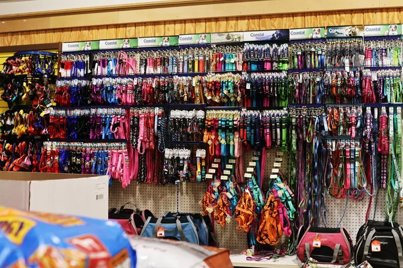 Leashes