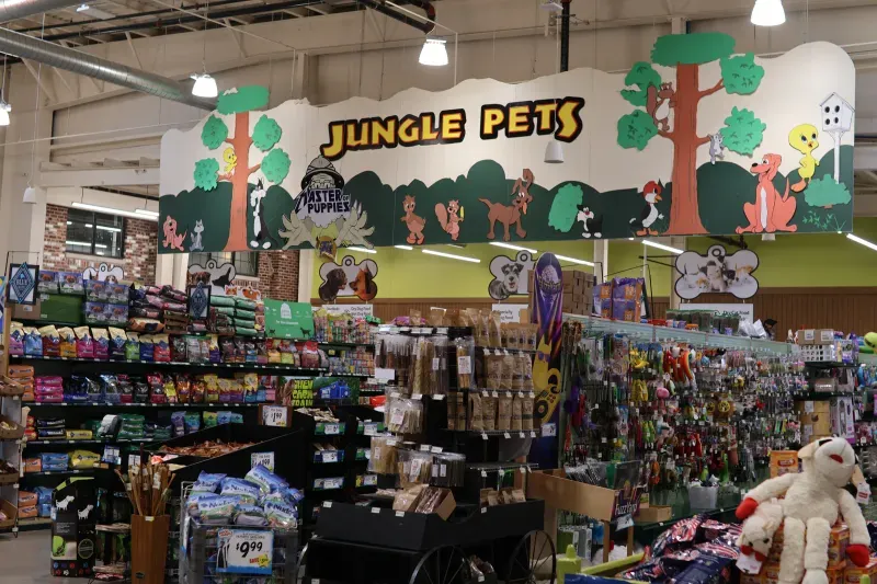American Grocery department display