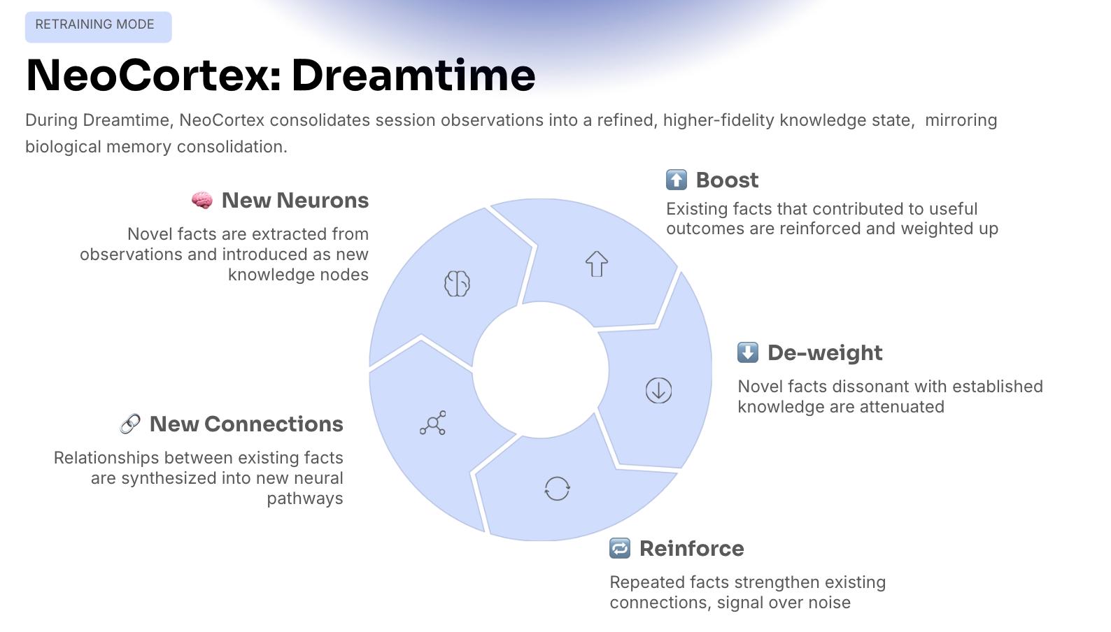 Neocortex Dreamtime process showing knowledge consolidation, reinforcement, and validation of organizational memory.