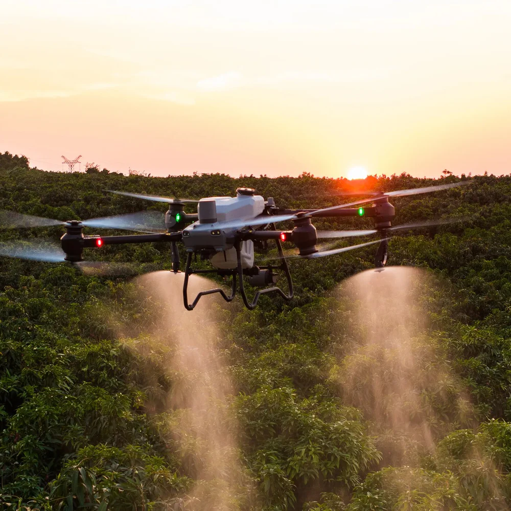 DJI Agras T50 agricultural spray drone