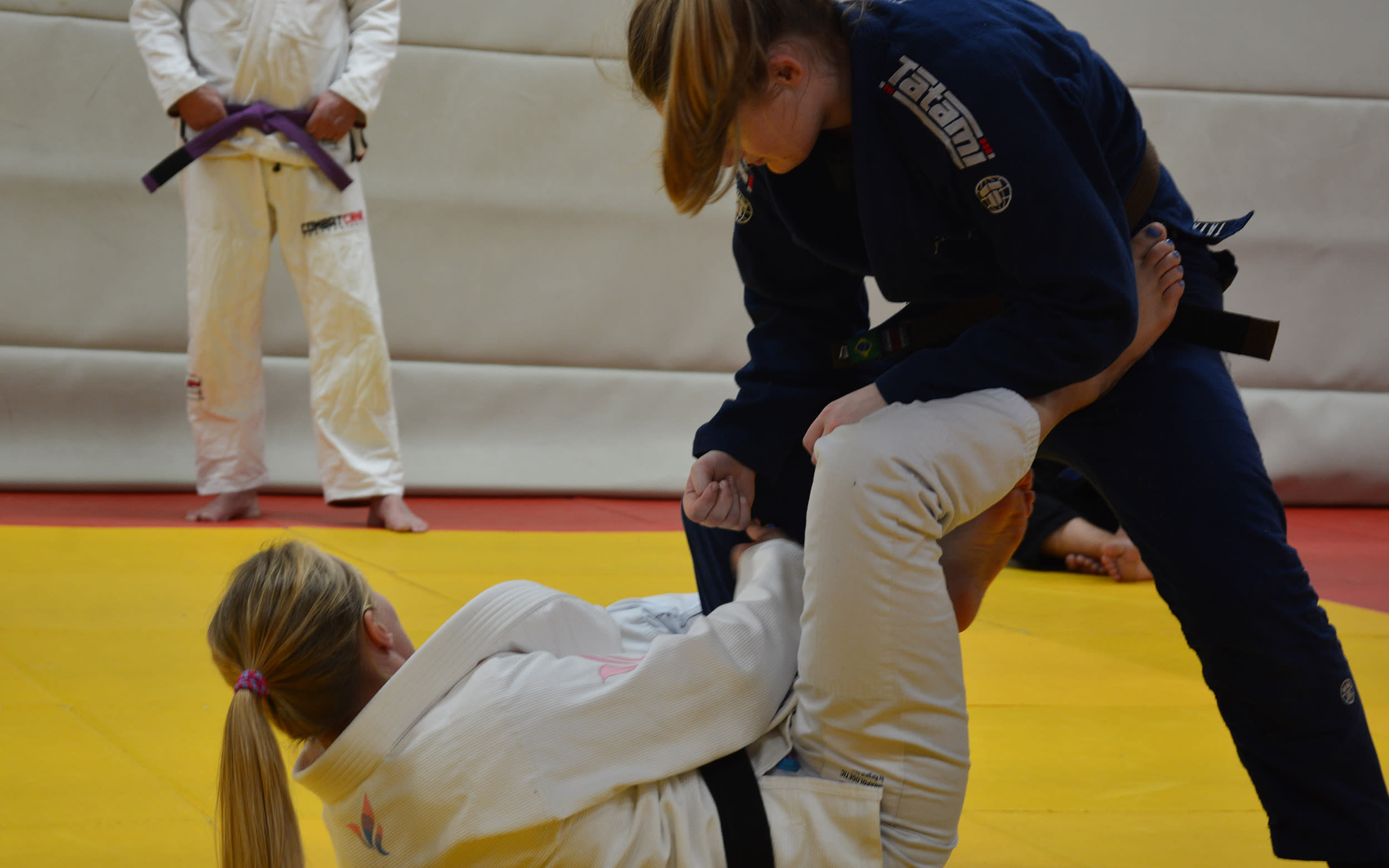 Ippon Judo & BJJ