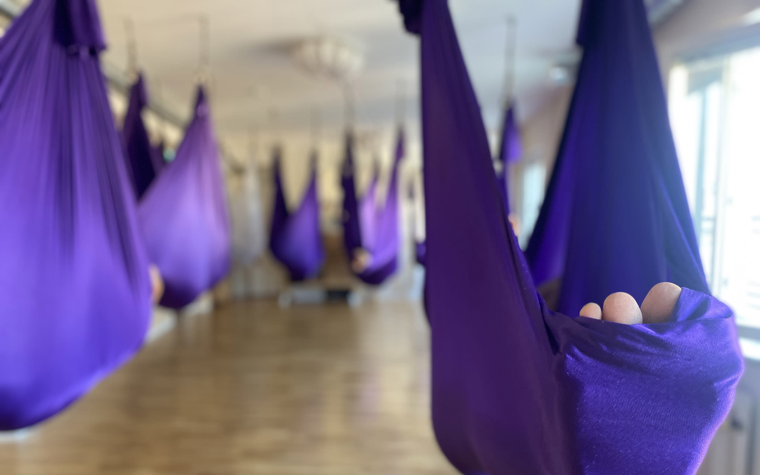 WINGS – The Studio