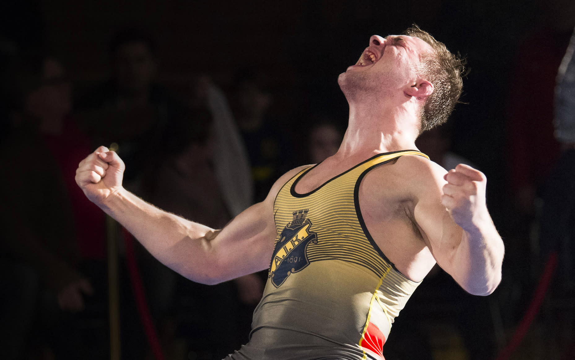 AIK Brottning – Wresfit
