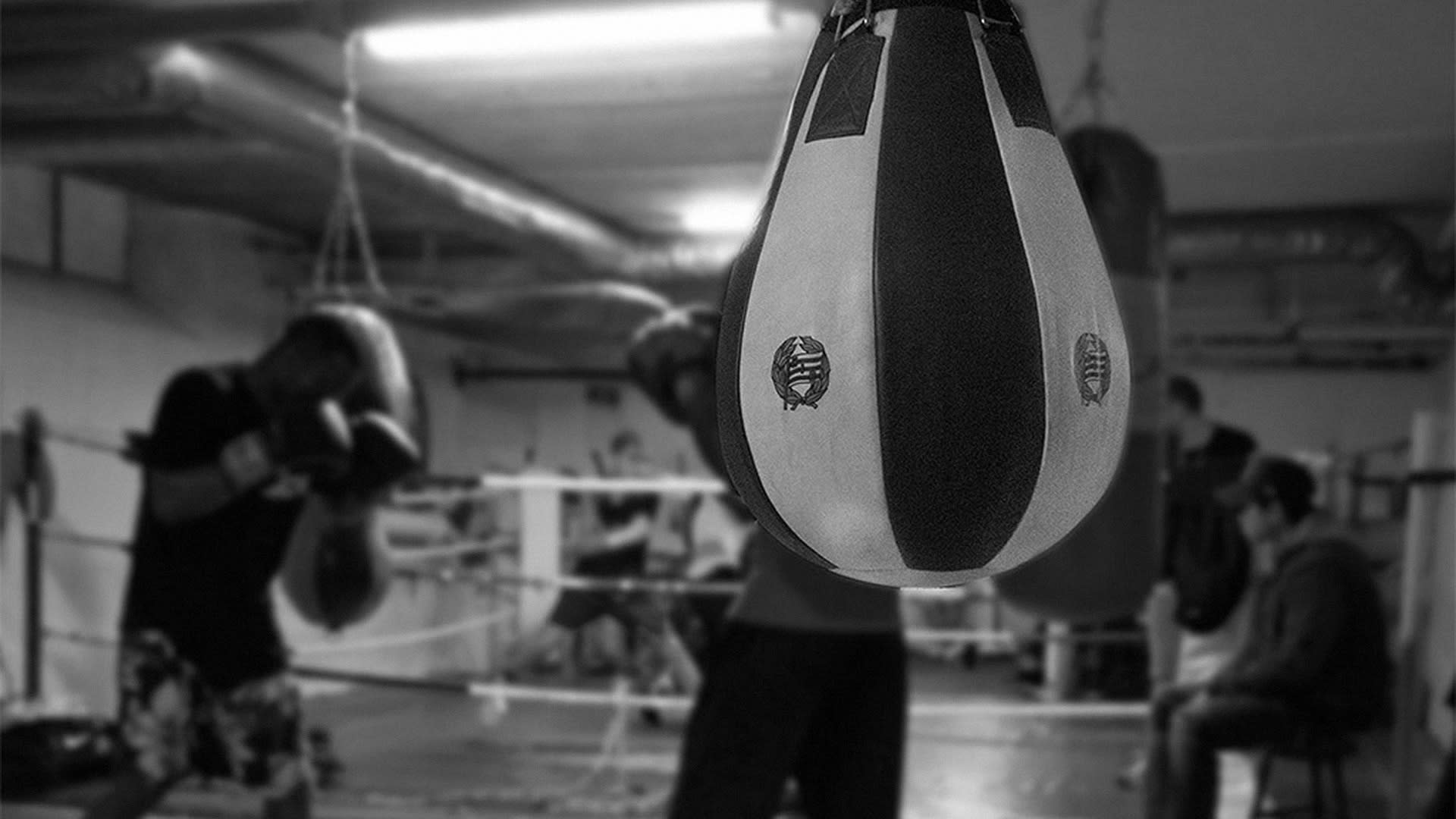 Hammarby Boxning