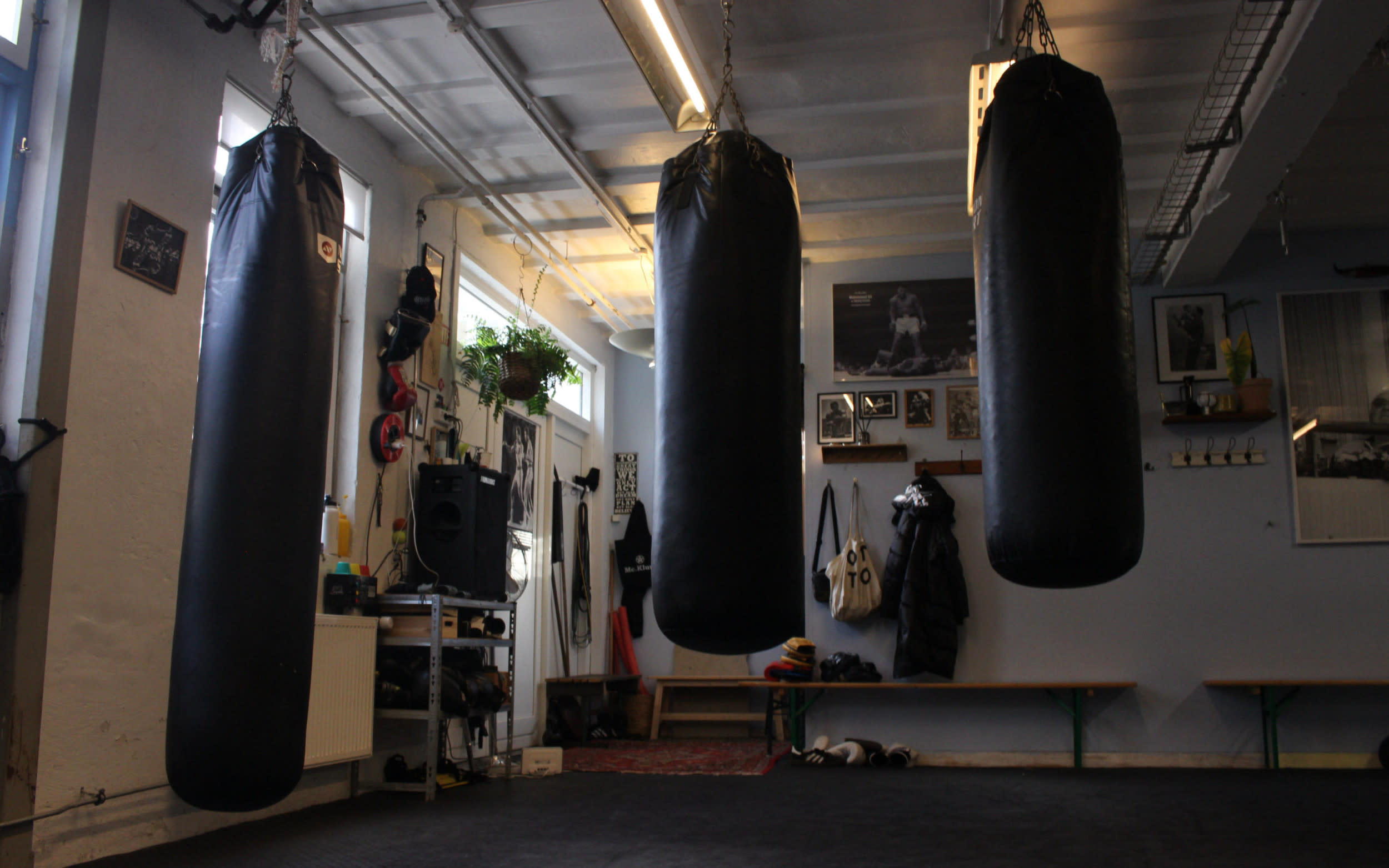 Athletic Warfare
