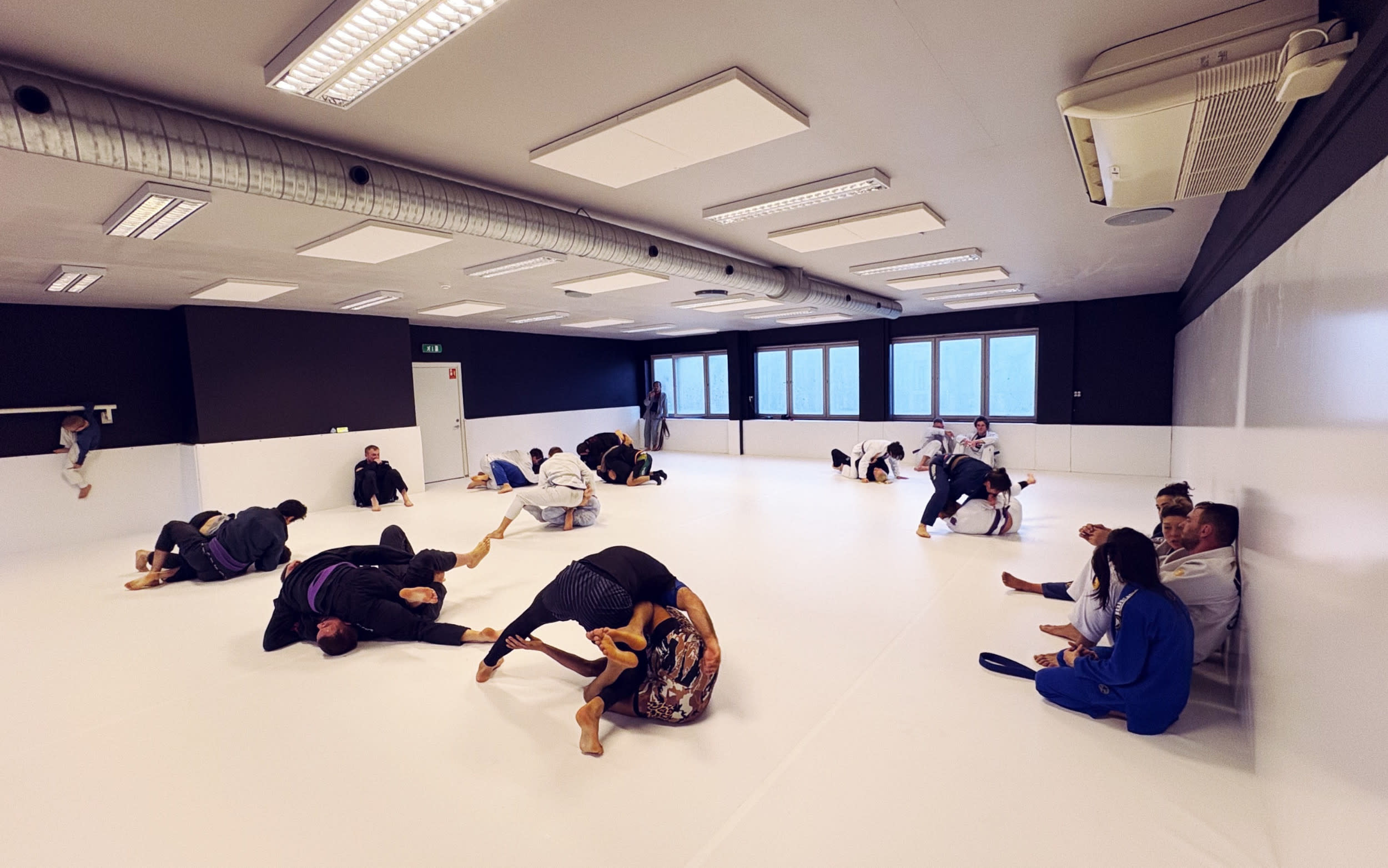 Jiu-Jitsu Collective