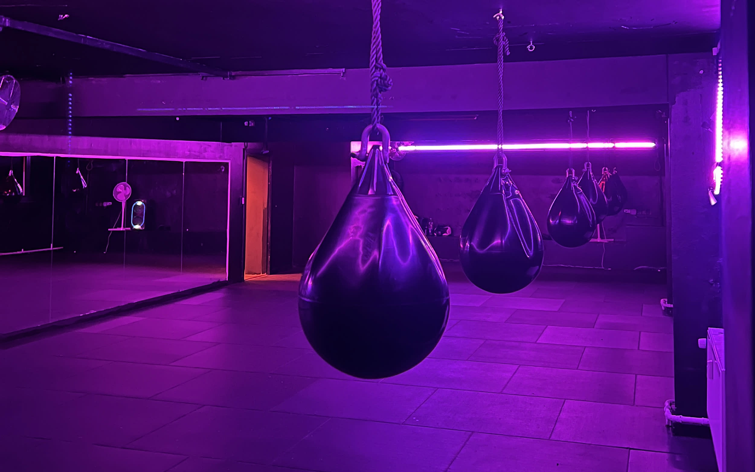 Belas Boxing